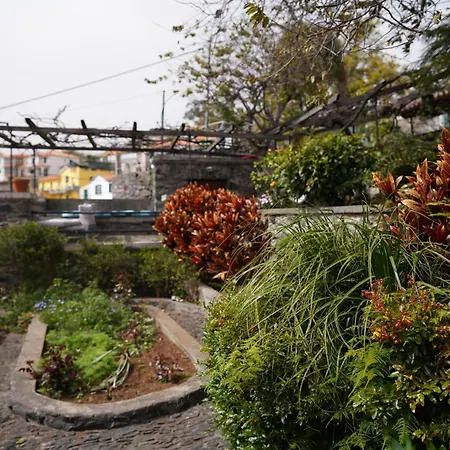 Konukevi Casa Flores *