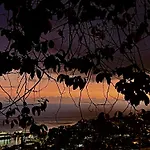 Casa Flores * Funchal (Madeira)