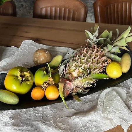 Casa Flores פונשל