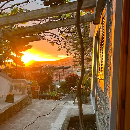 Casa Flores בית הארחה