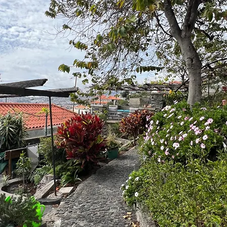 Casa Flores בית הארחה פונשל