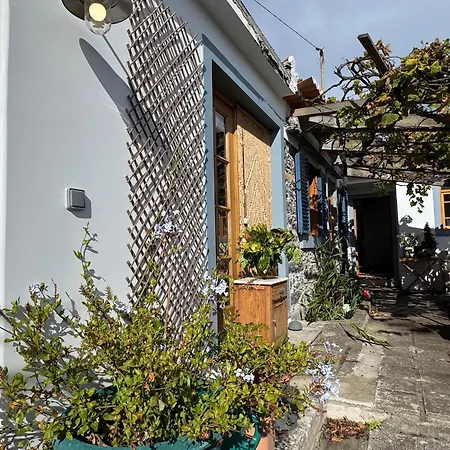 Casa Flores Homestay *