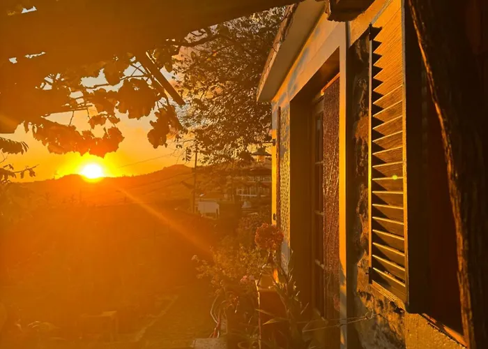 Casa Flores 招待所