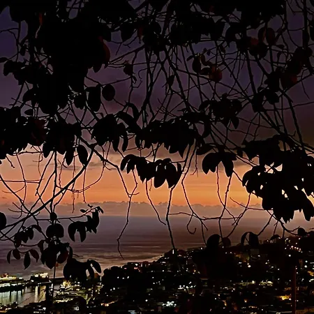 Casa Flores * Funchal (Madeira)