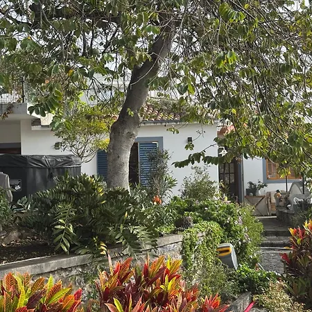 Casa Flores 3*