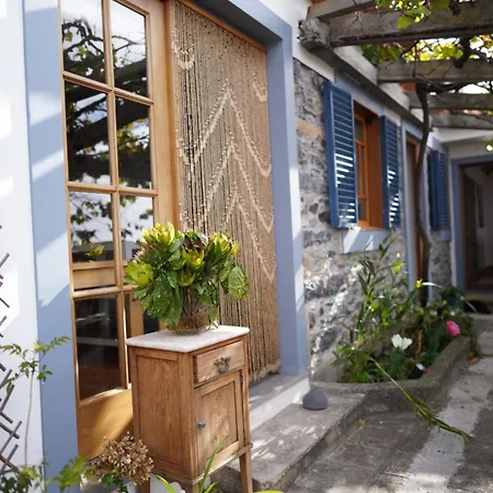 Casa Flores Séjour chez l'habitant *
