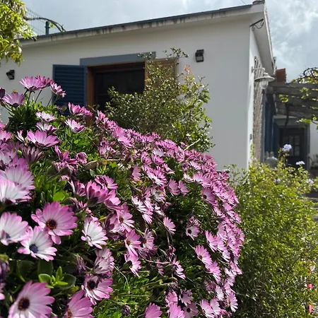 Casa Flores - Your Charming With Local Secrets