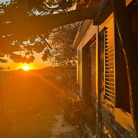 Casa Flores Πανσιόν