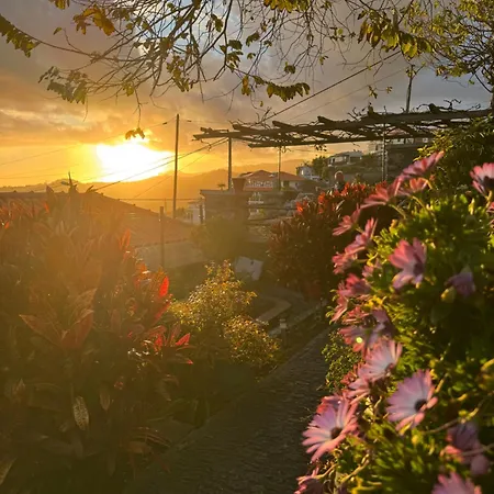 Πανσιόν Casa Flores