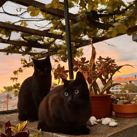 Guest house Casa Flores - Your Charming With Local Secrets