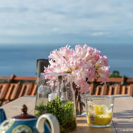 Guest house Casa Flores - Your Charming With Local Secrets Funchal (Madeira)