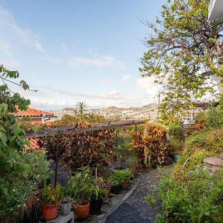 Guest house Casa Flores - Your Charming With Local Secrets