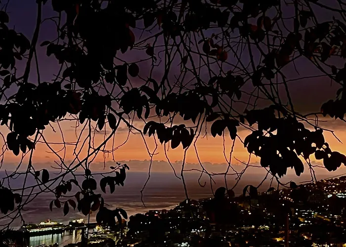 Casa Flores * Funchal (Madeira)