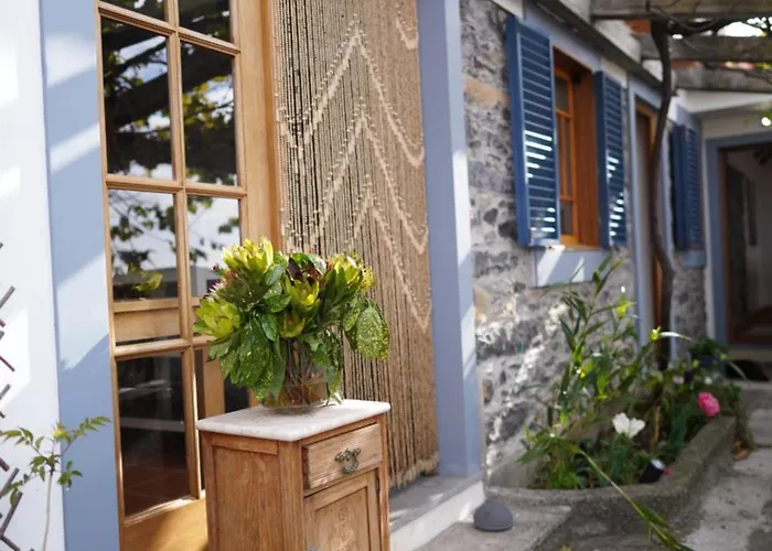 Casa Flores Penzion *