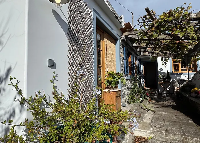 Casa Flores Penzion *