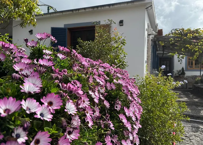 Casa Flores