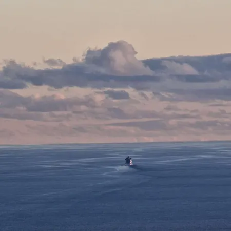 Casa Flores * Funchal