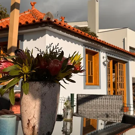 Casa Flores Funchal